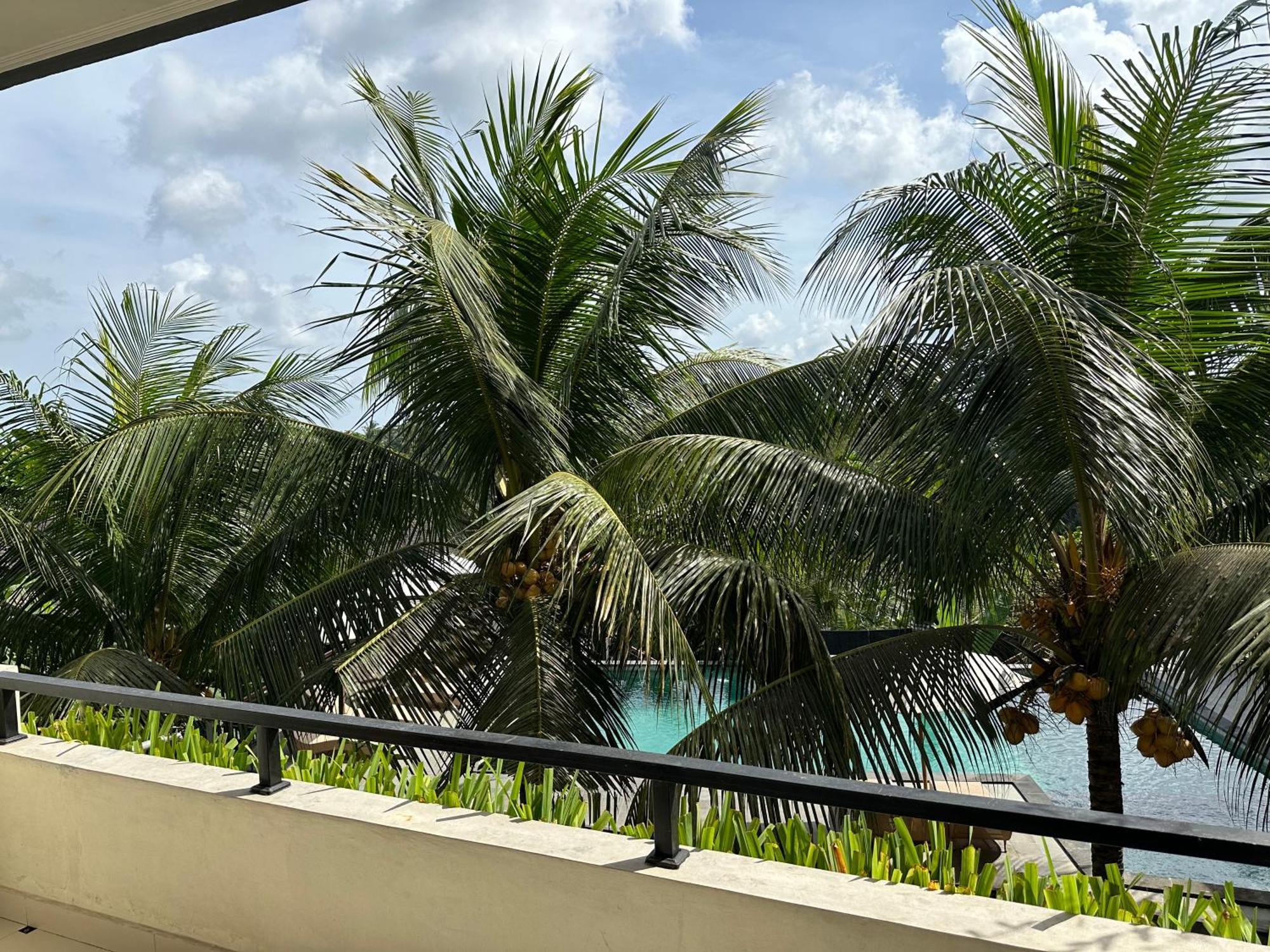 Brata Cottage Ubud ภายนอก รูปภาพ